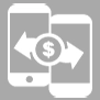 icon of type of pay